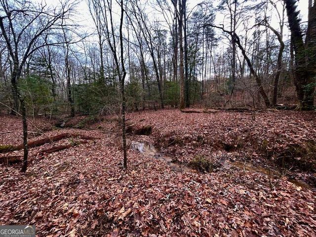 0 Grace Drive, Blue Ridge, GA 30513