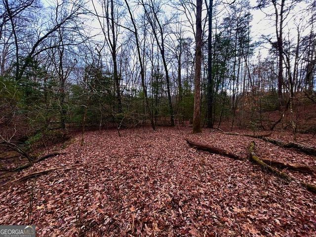 0 Grace Drive, Blue Ridge, GA 30513
