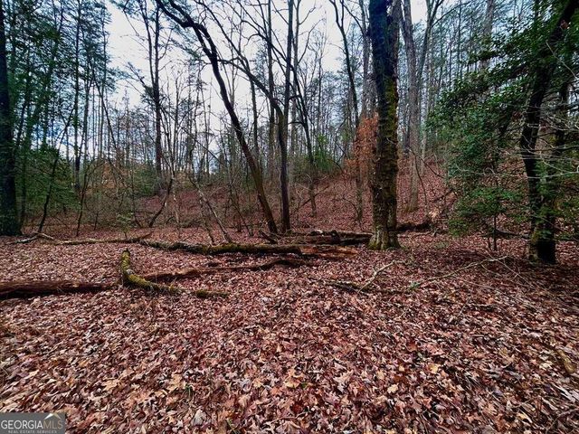 0 Grace Drive, Blue Ridge, GA 30513