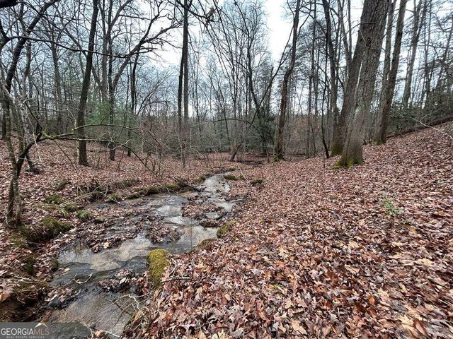 0 Grace Drive, Blue Ridge, GA 30513