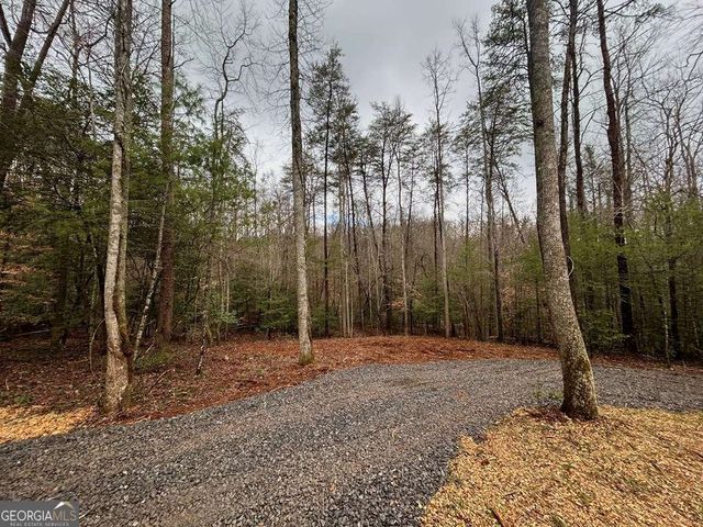 0 Grace Drive, Blue Ridge, GA 30513
