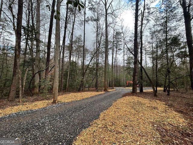0 Grace Drive, Blue Ridge, GA 30513