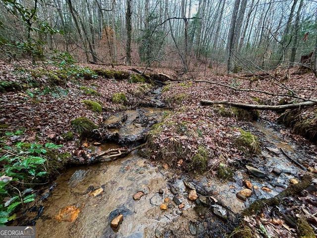 0 Grace Drive, Blue Ridge, GA 30513