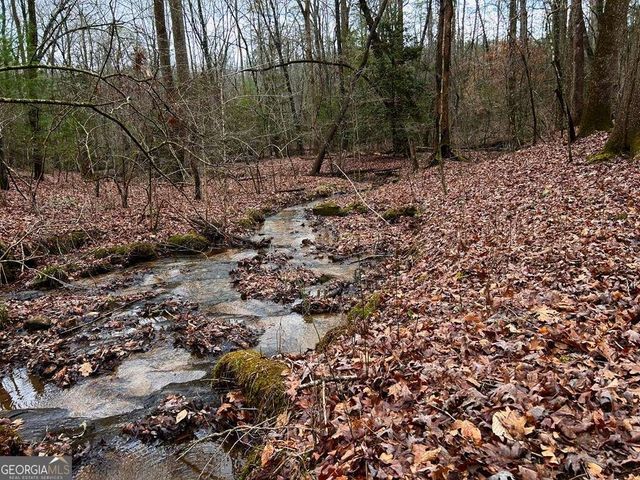 0 Grace Drive, Blue Ridge, GA 30513