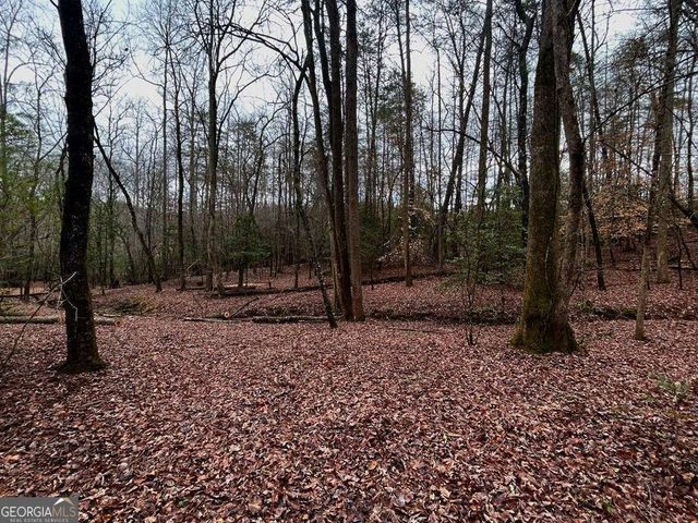 0 Grace Drive, Blue Ridge, GA 30513