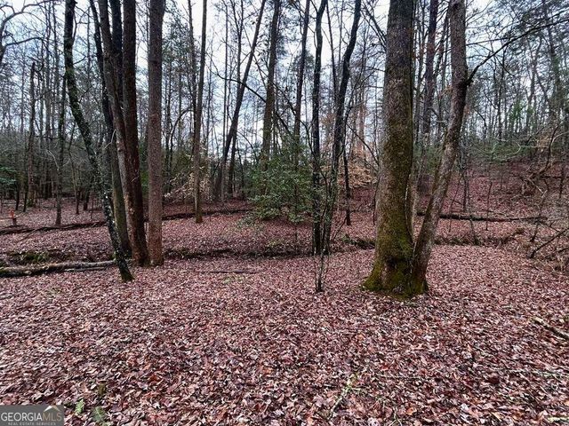 0 Grace Drive, Blue Ridge, GA 30513