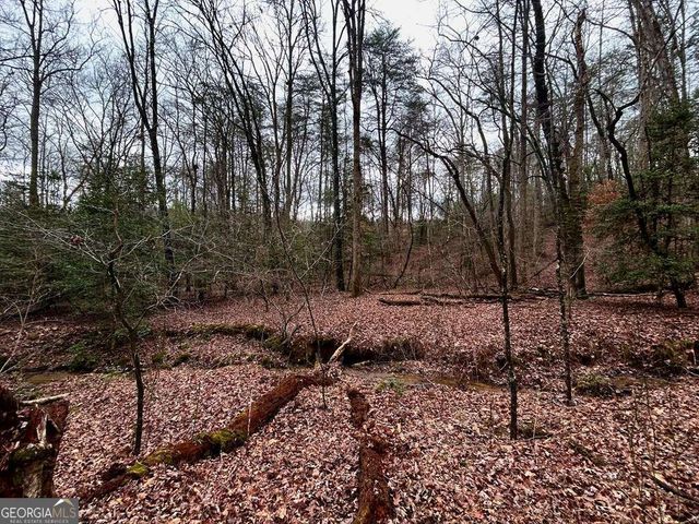 0 Grace Drive, Blue Ridge, GA 30513
