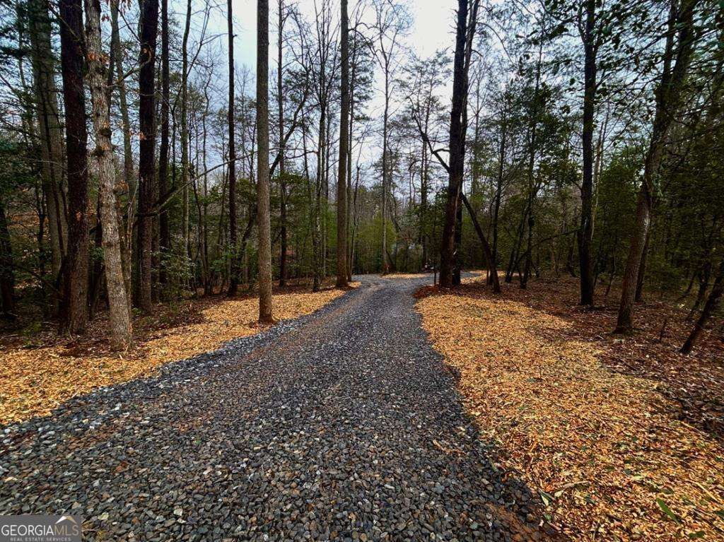0 Grace Drive, Blue Ridge, GA 30513