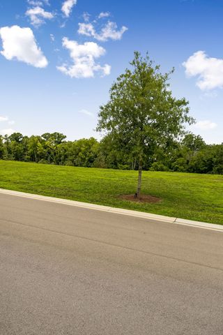 7588 Trident Ridge Rd, College Grove, TN 37046