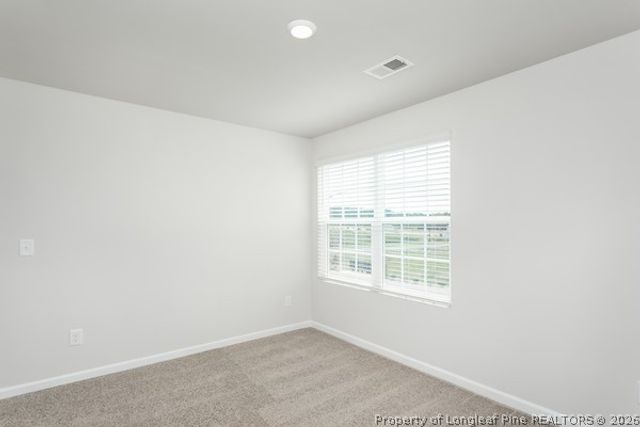 28 Rider Street, Broadway, NC 27505