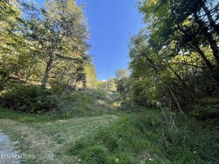 Little Sycamore Rd, Tazewell, TN 37879