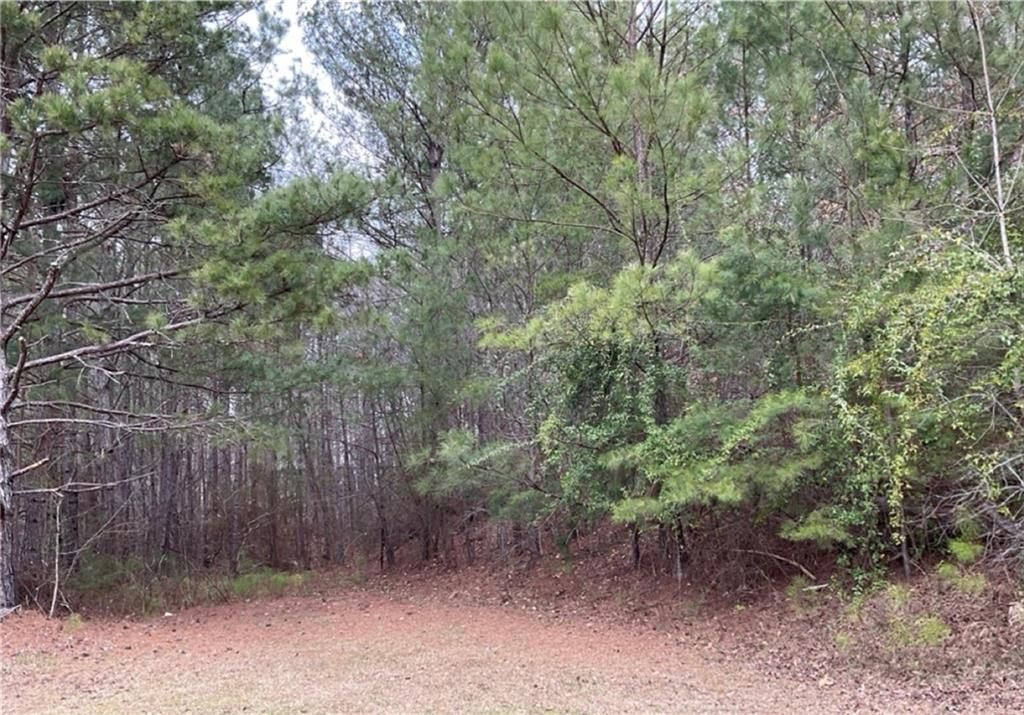 0 Ridge Drive, Tallapoosa, GA 30176