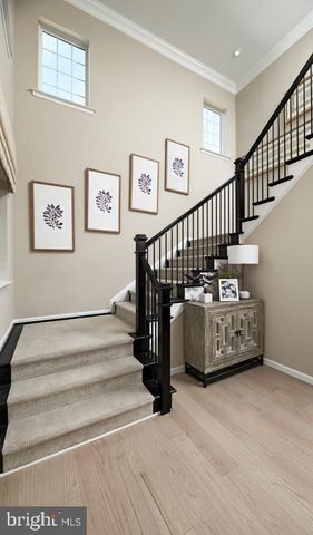 705 PINEAPPLE CT, Reisterstown, MD 21136