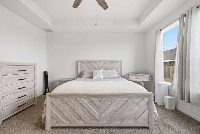 20804 Rowston Manor LN, Manor, TX 78653