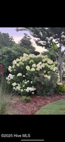 163 Voyager Way, Hampstead, NC 28443