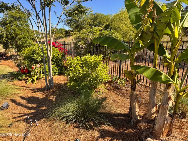 163 Voyager Way, Hampstead, NC 28443