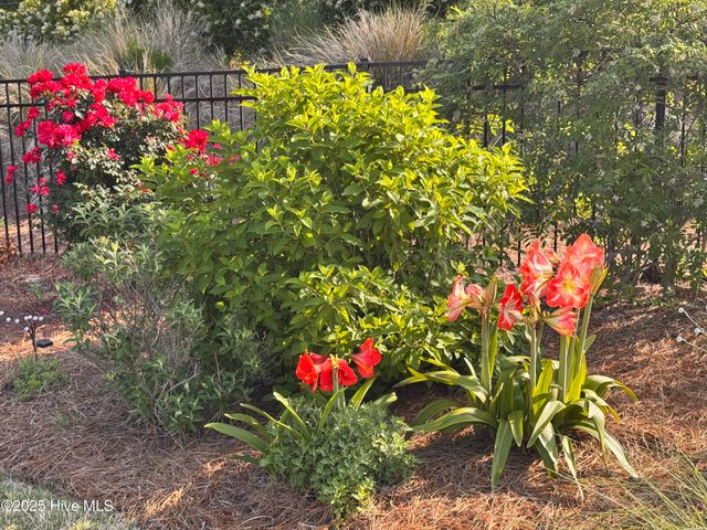 163 Voyager Way, Hampstead, NC 28443