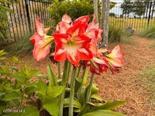 163 Voyager Way, Hampstead, NC 28443