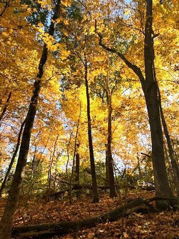 89 Bradley Drive, Independence, KY 41051