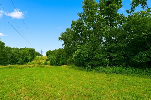 Lot 11 Lot 11 Peck Road, Pea Ridge, AR 72751
