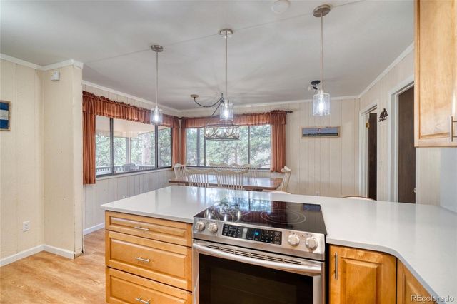 435 Phyllis Drive, Florissant, CO 80816