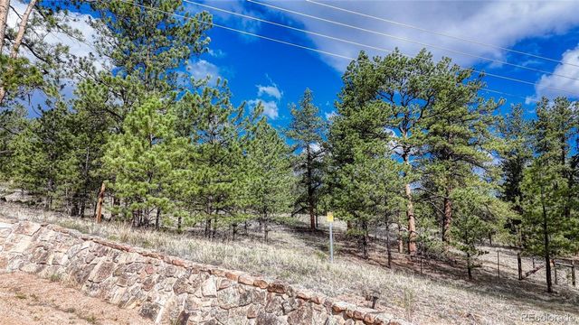 435 Phyllis Drive, Florissant, CO 80816