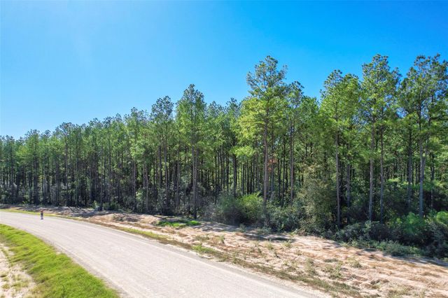 15409 Forest Grove Drive, Willis, TX 77378