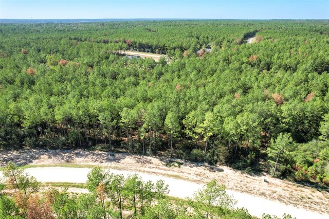 15409 Forest Grove Drive, Willis, TX 77378