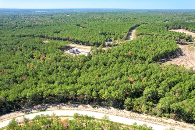 15409 Forest Grove Drive, Willis, TX 77378