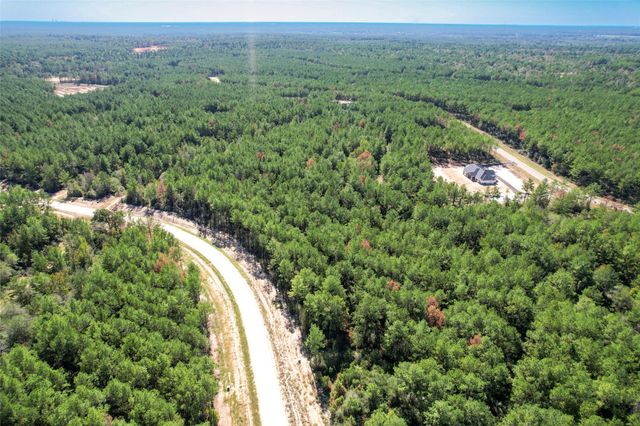 15409 Forest Grove Drive, Willis, TX 77378