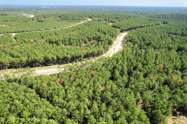 15409 Forest Grove Drive, Willis, TX 77378