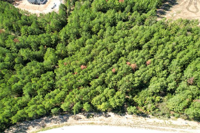 15409 Forest Grove Drive, Willis, TX 77378