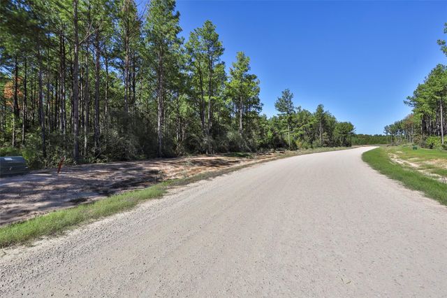 15409 Forest Grove Drive, Willis, TX 77378