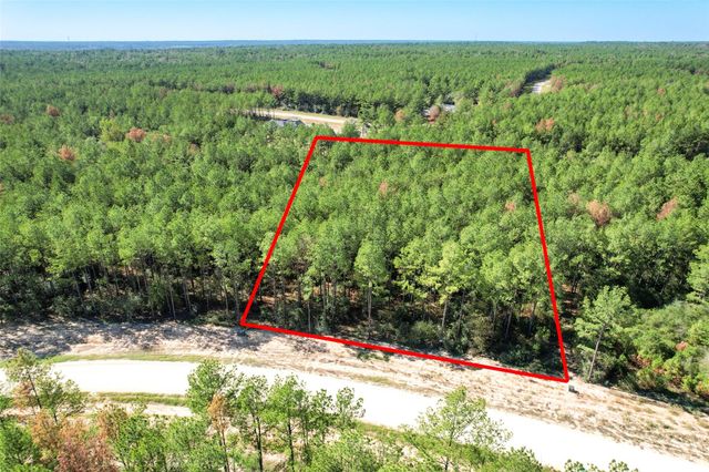 15409 Forest Grove Drive, Willis, TX 77378