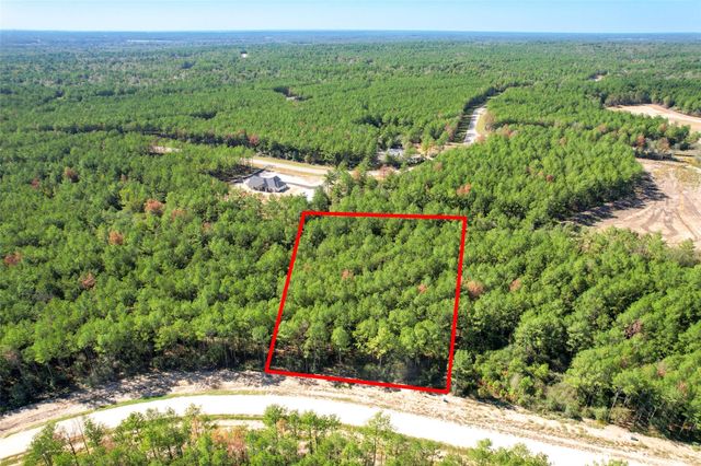 15409 Forest Grove Drive, Willis, TX 77378