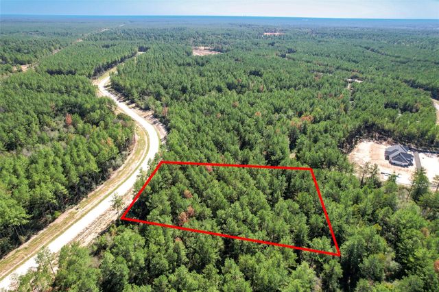 15409 Forest Grove Drive, Willis, TX 77378