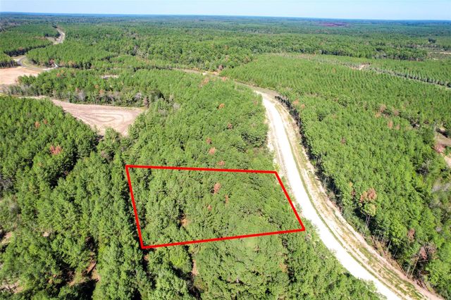 15409 Forest Grove Drive, Willis, TX 77378