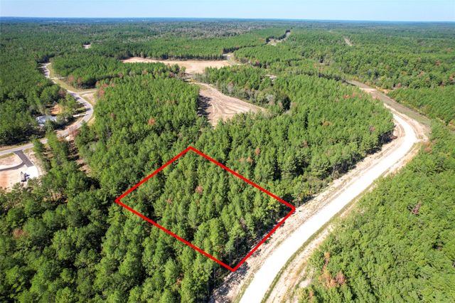 15409 Forest Grove Drive, Willis, TX 77378