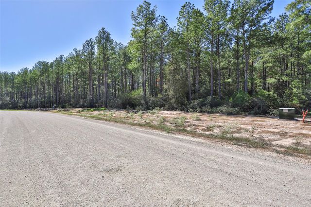 15409 Forest Grove Drive, Willis, TX 77378