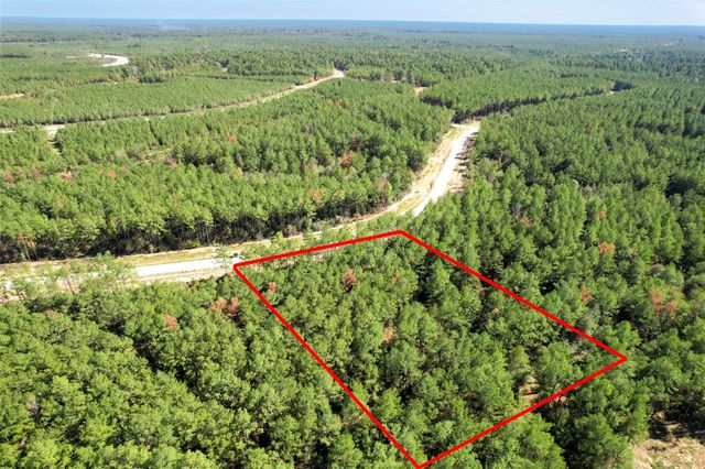 15409 Forest Grove Drive, Willis, TX 77378