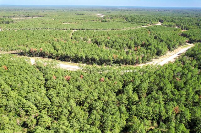 15409 Forest Grove Drive, Willis, TX 77378