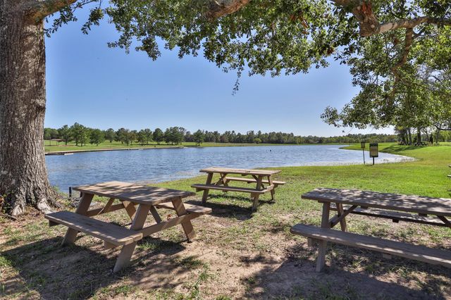 15409 Forest Grove Drive, Willis, TX 77378