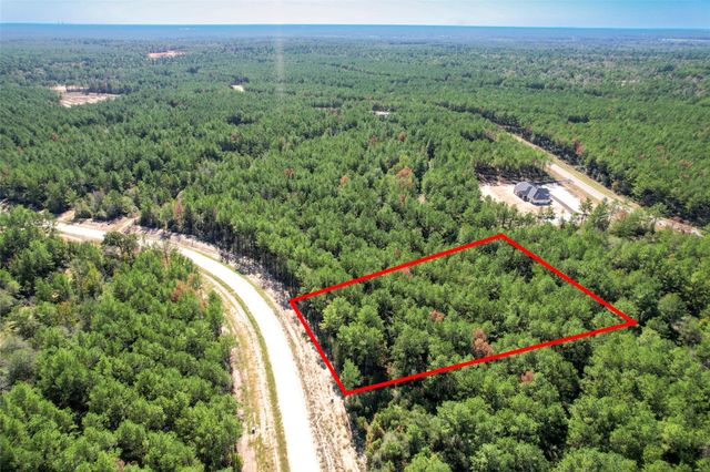 15409 Forest Grove Drive, Willis, TX 77378