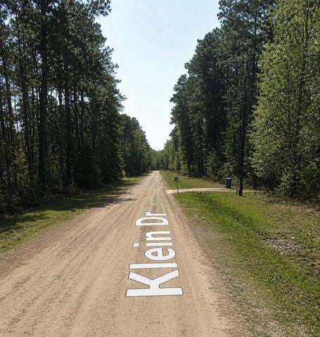 0 Klein Drive, Livingston, TX 77351
