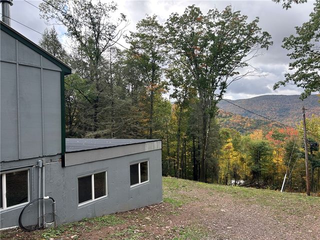 605 Weaver Avenue, Andes, NY 13731