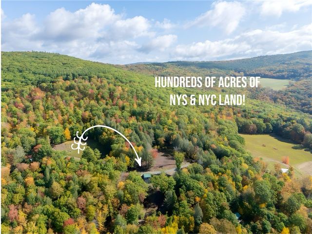 605 Weaver Avenue, Andes, NY 13731