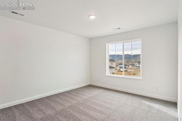 16869 Starfall Drive, Monument, CO 80132