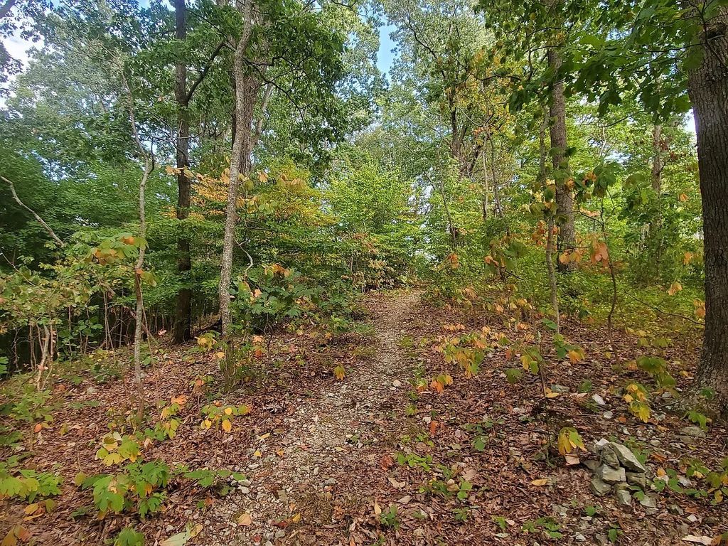 6621 Chatsworth Pl, Nashville, TN 37205