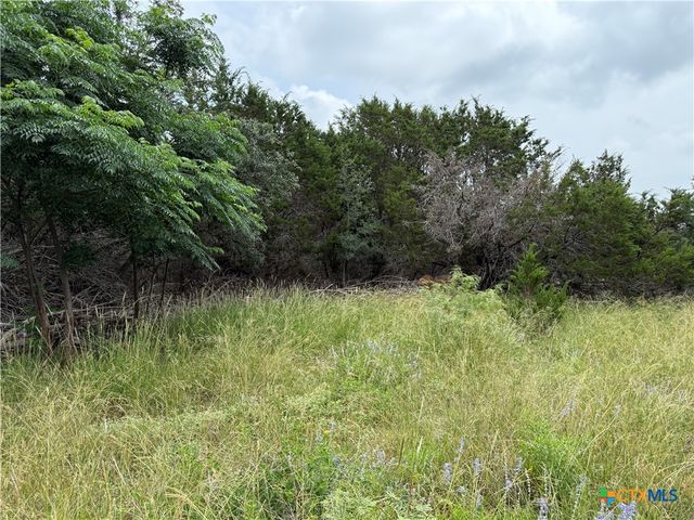 TBD Salado Oaks Street, Salado, TX 76571