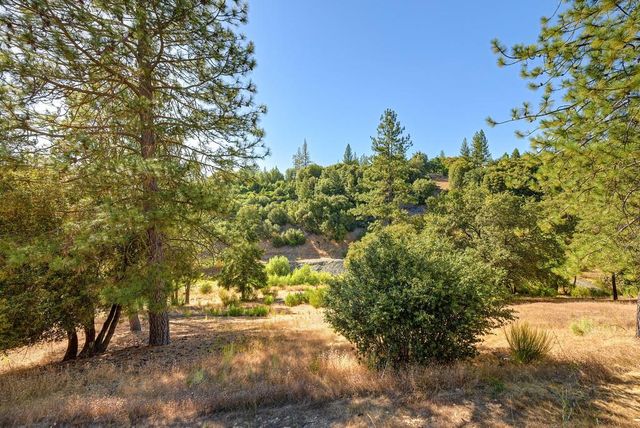 4255 Wild Lilac Ln, Greenwood, CA 95635